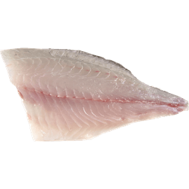 פילה דניס טרי