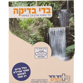 בדי בדיקה