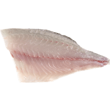 פילה דג דניס טרי