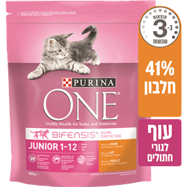 ONE עוף לחתול גור