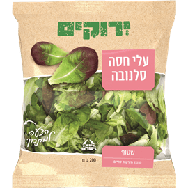 עלי חסה סלנובה שטופים