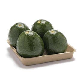 אבוקדו טרי ארוז