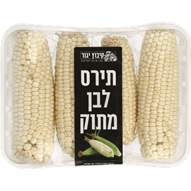 תירס צהוב מתוק