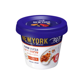 גבינת שמנת סלסה 24%