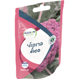 זרעי ברוקולי סגול