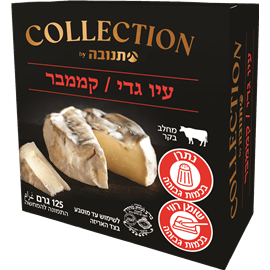 עין גדי קממבר 24%שומן