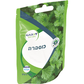 זרעי כוסברה