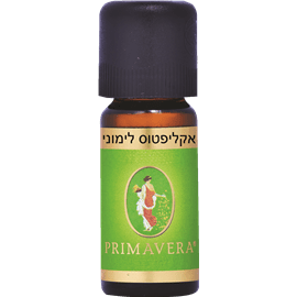 אקליפטוס לימוני