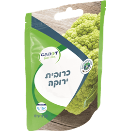 זרעי כרובית ירוקה