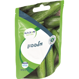 זרעי מלפפון