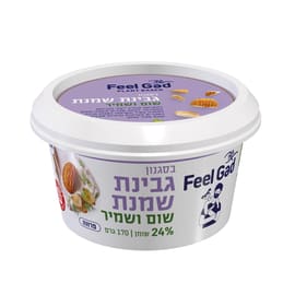פילגד בסגנון שמנת שום שמיר 24% 170 גרם