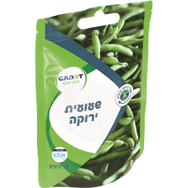 זרעי שעועית ירוקה