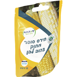 זרעי תירס מתוק צהוב לבן