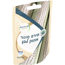 זרעי תירס סופר מתוק לבן