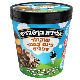 פינט שוקולד באטר ספליט 436 גרם