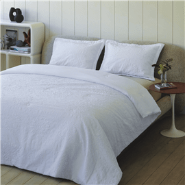 סט כיסוי מיטה+ציפית ספרי