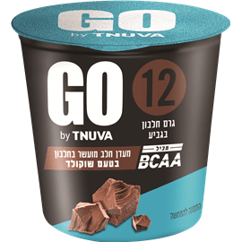 מעדן חלב גו בטעם שוקולד