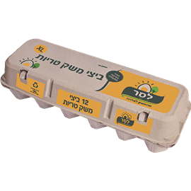 ביצים ארוזות XL