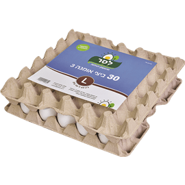 ביצים אומגה 3 DHA L