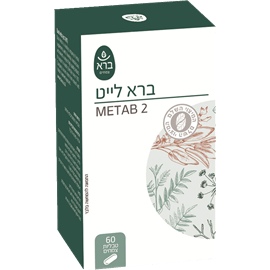 ברא לייט