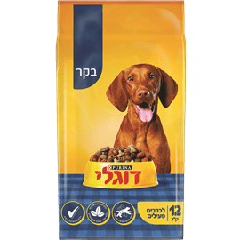 דוגלי אקטיב