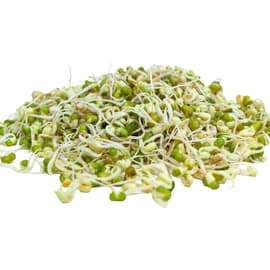 Lentil Sprouts Pack