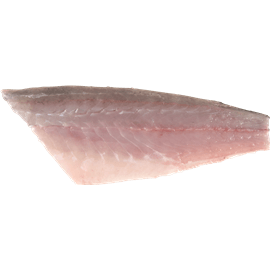 פילה לברק טרי