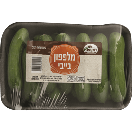 מלפפון בייבי