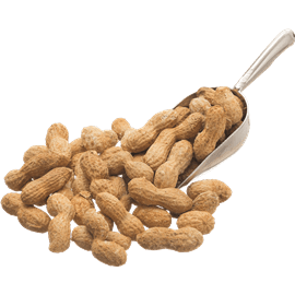 בוטנים בקליפה קלויים