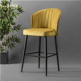 יוני בר 4 חרדל