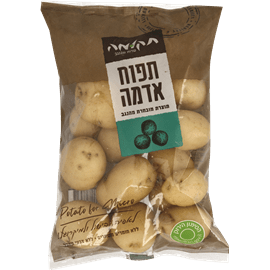 תפוח אדמה למיקרו