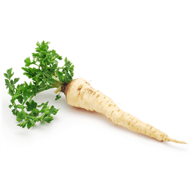 שורש פטרוזיליה