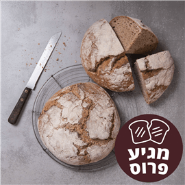 לחם מחמצת שיפון פרוס