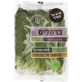 חסה גמביט קראנצית