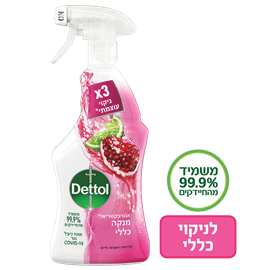 דטול ספריי ניקוי רימונים