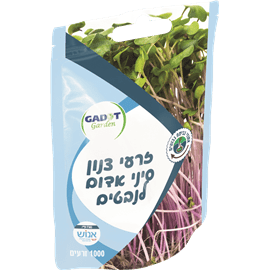 שקית זרעים צנון סיני אדו