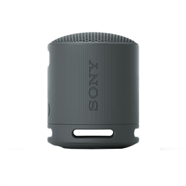 SRS-XB100B