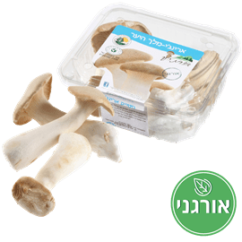 פיטריות ארינגי מלך היער