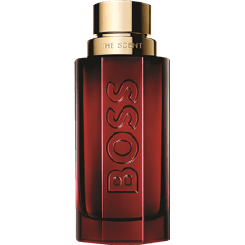 דה סנט אליקסיר for men100 ml