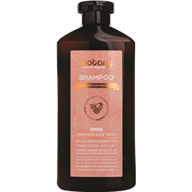 שמפו לשיער צבוע ויבש