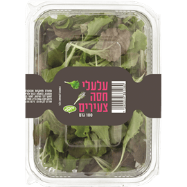 עלי חסה צעירים