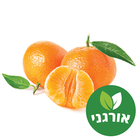 קלמנטינה ארוז אורגני