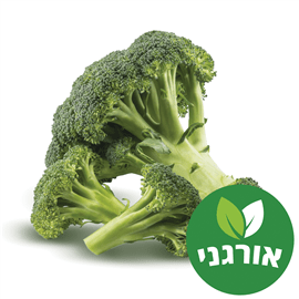 ברוקולי אורגני מארז