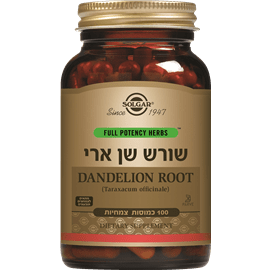 שורש שן ארי