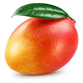 מנגו
