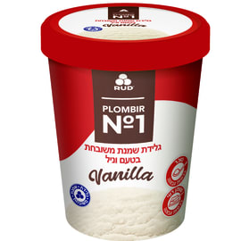 Plombir Cream Ice Cream 500g