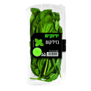 בזיליקום