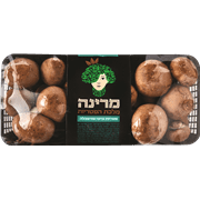 מארז זוגות בייבי בלה
