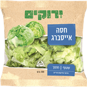 חסה אייסברג שטופה לאכילה
