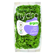 חסה לאליק הידרופונית